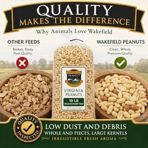 Wakefield Virginia Peanuts Animal Grade Raw Wildlife Peanuts, 10 LBS | Unsalted, Shelled & High Energy for Wildlife in India thumbnail 3