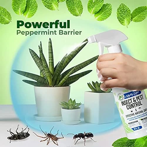 Mighty Mint Peppermint Oil Insect Repellent Concentrate 222ml (7.4 Fl Oz) | Natural Spider & Ant Control thumbnail 5