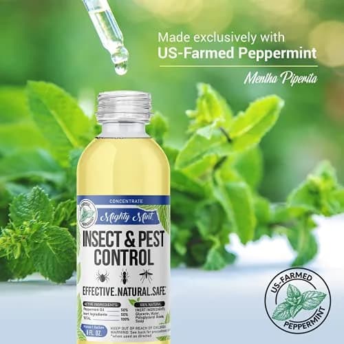 Mighty Mint Peppermint Oil Insect Repellent Concentrate 222ml (7.4 Fl Oz) | Natural Spider & Ant Control thumbnail 6