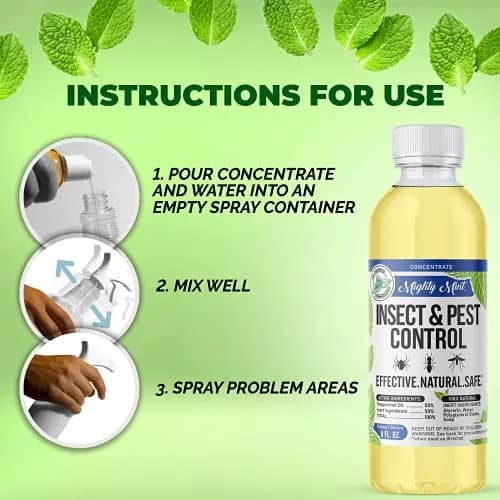 Mighty Mint Peppermint Oil Insect Repellent Concentrate 222ml (7.4 Fl Oz) | Natural Spider & Ant Control thumbnail 2