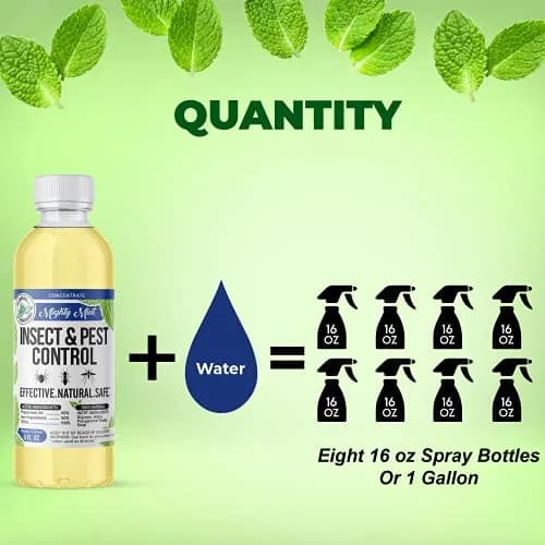 Mighty Mint Peppermint Oil Insect Repellent Concentrate 222ml (7.4 Fl Oz) | Natural Spider & Ant Control thumbnail 3