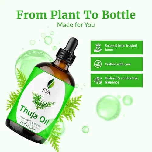 SVA ORGANICS Thuja Essential Oil - Pure & Natural, 4 Fl Oz (118 mL) Glass Bottle with Dropper thumbnail 4