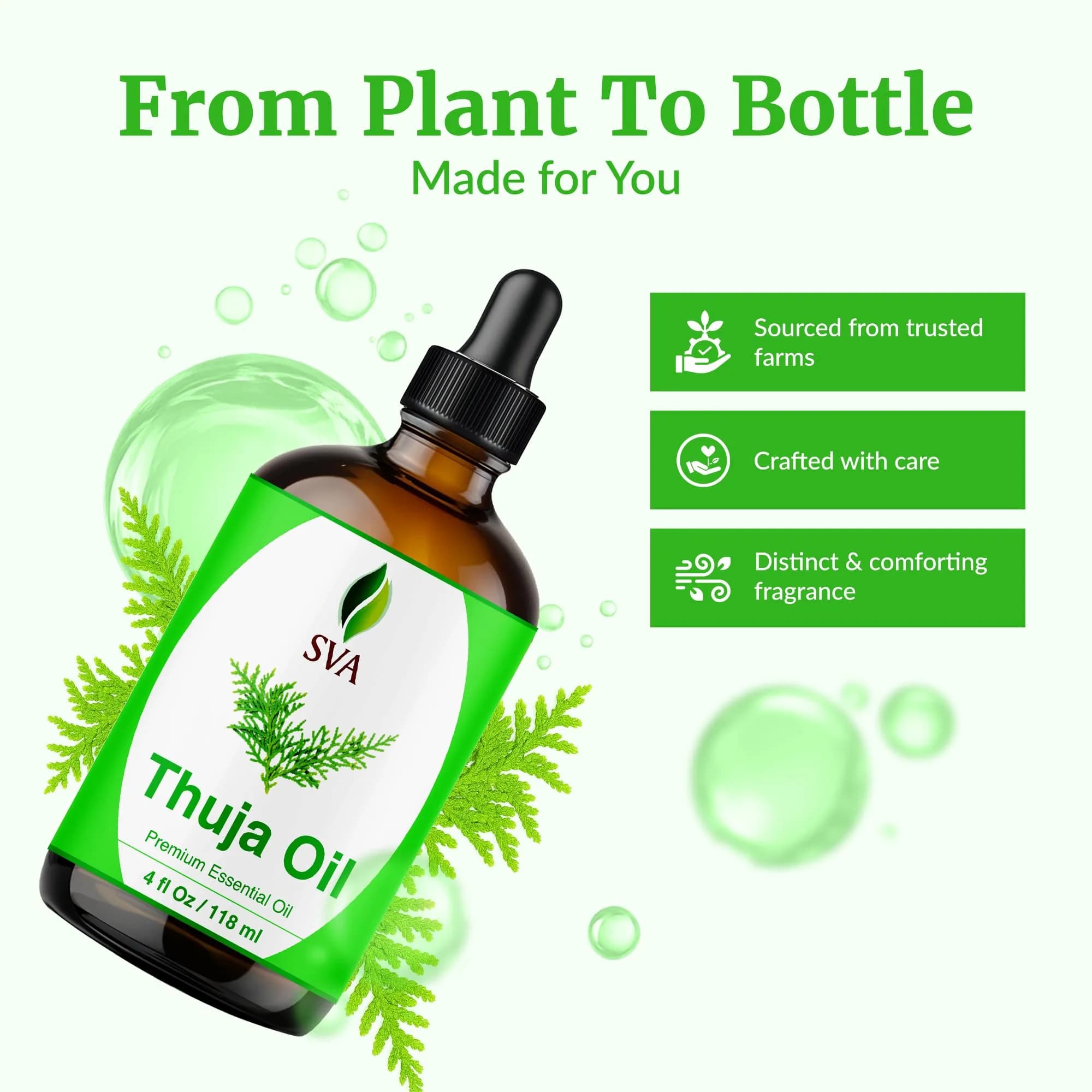 SVA ORGANICS Thuja Essential Oil - Pure & Natural, 4 Fl Oz (118 mL) Glass Bottle with Dropper - view 4