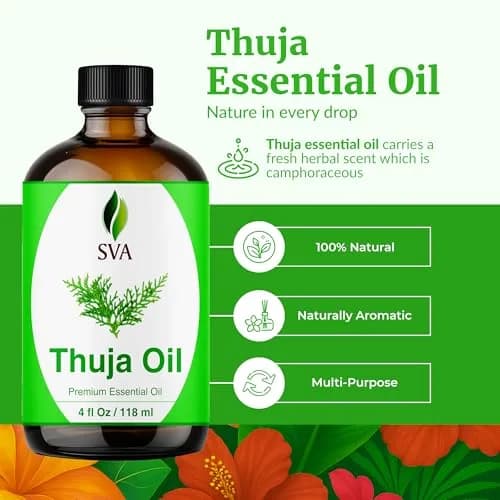 SVA ORGANICS Thuja Essential Oil - Pure & Natural, 4 Fl Oz (118 mL) Glass Bottle with Dropper thumbnail 2