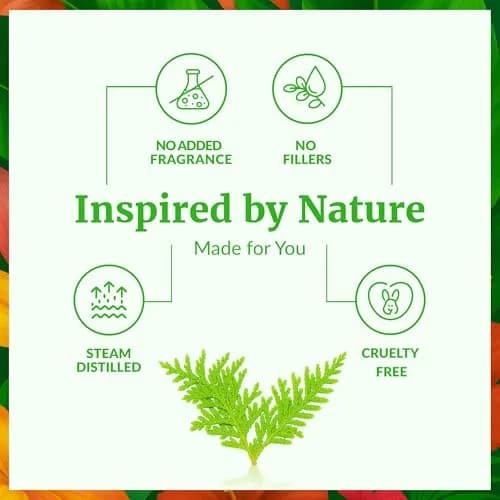SVA ORGANICS Thuja Essential Oil - Pure & Natural, 4 Fl Oz (118 mL) Glass Bottle with Dropper thumbnail 3