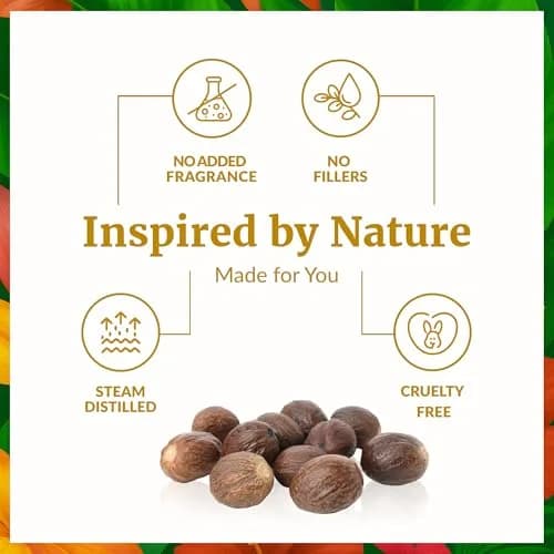 SVA ORGANICS Nutmeg Essential Oil 10 ml (0.33 Fl Oz) | Warm Woody Aroma for Aromatherapy & DIY thumbnail 3