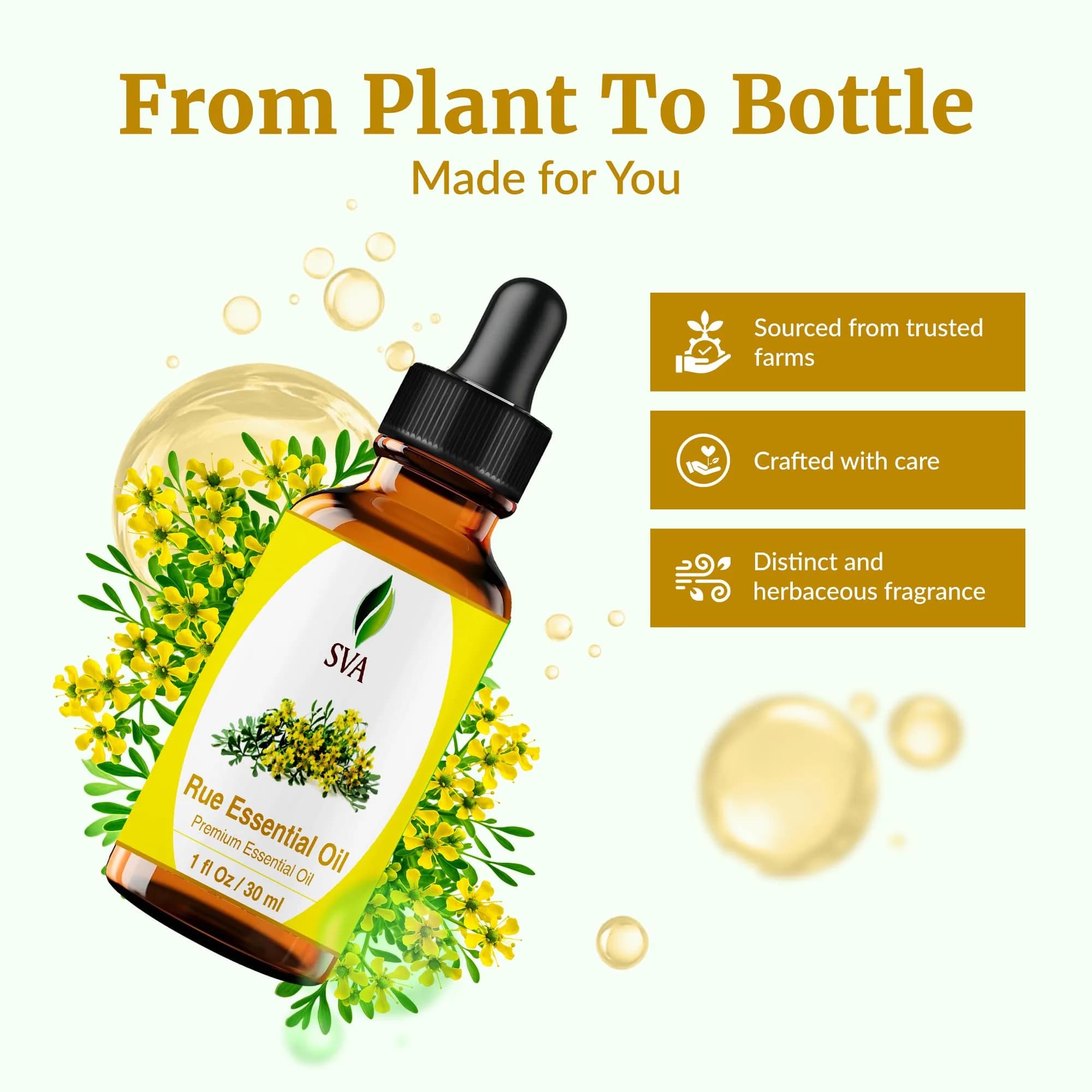 SVA Organics Rue Essential Oil, 1 Fl Oz (Pack of 1) - Pure & Natural - view 4