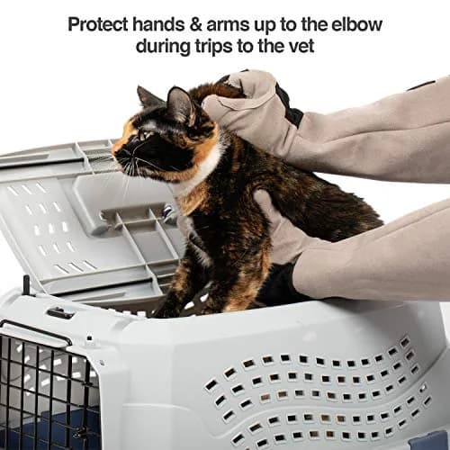 PetFusion Pet Grooming Gloves, Hair Removal & Bathing, Scratch Resistant | Water-Resistant, Reusable, Silicone thumbnail 5