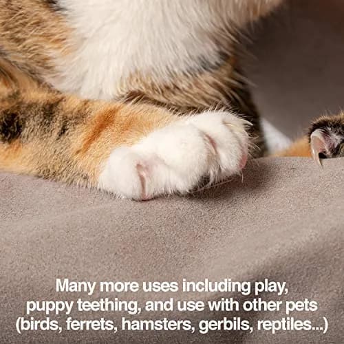 PetFusion Pet Grooming Gloves, Hair Removal & Bathing, Scratch Resistant | Water-Resistant, Reusable, Silicone thumbnail 7