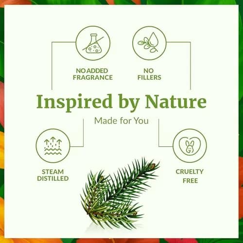 SVA ORGANICS Fir Balsam Essential Oil - 4 Fl Oz (118 mL) - Pure & Natural Aroma thumbnail 3