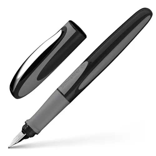 Schneider Ray Fountain Pen M (Medium) Onyx Barrel Royal Blue Erasable Ink | Smooth Ink Flow Writing Instrument — Royal Blue