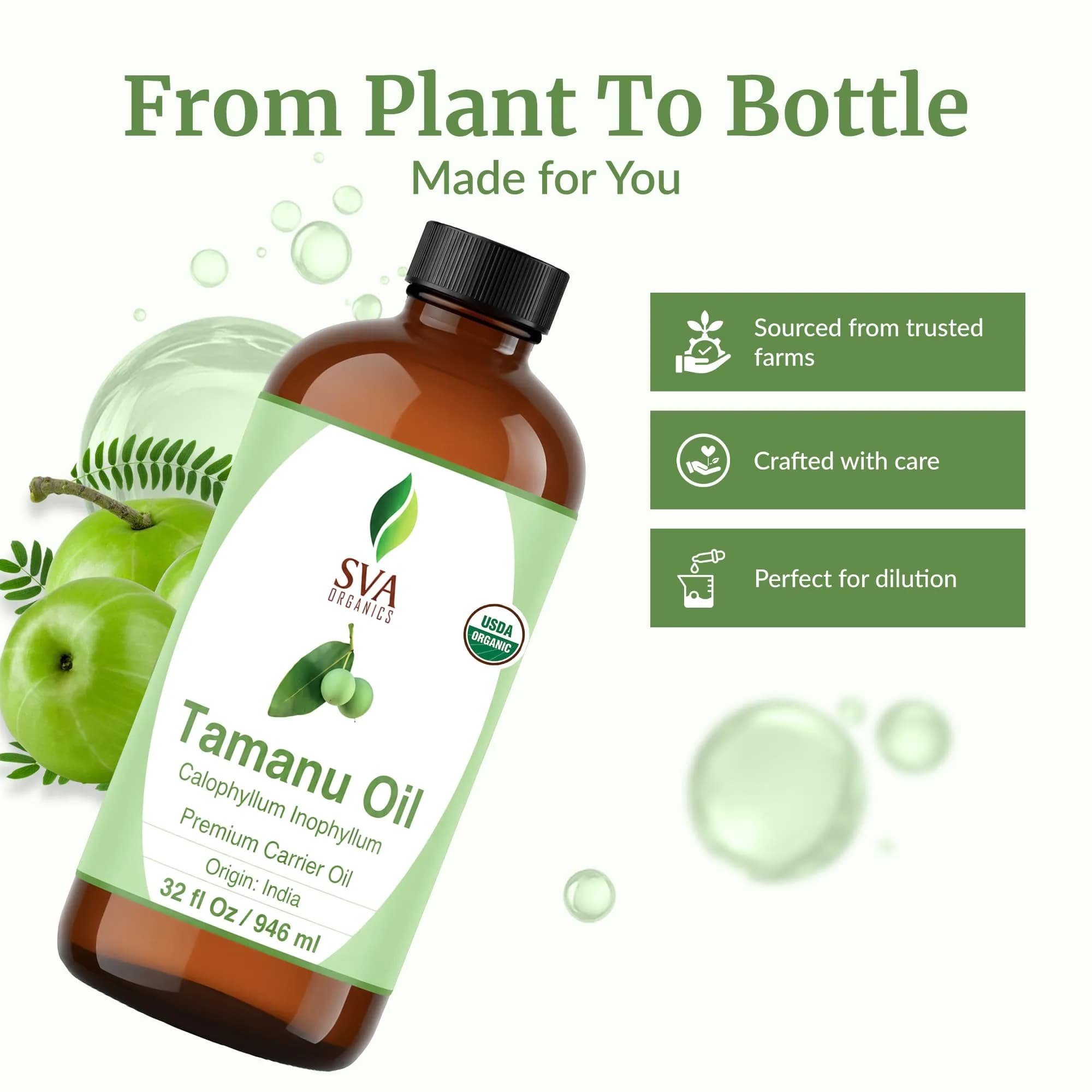 SVA ORGANICS Organic Tamanu Seed Carrier Oil 946ml (32 Fl Oz) | Cold-Pressed, Pure, Multi-Use - view 4