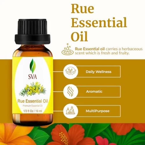 SVA Organics Rue Essential Oil 0.33 Fl Oz (10 ml) - Pure & Natural Aromatherapy Oil thumbnail 2