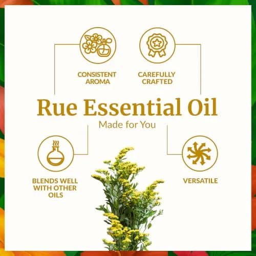 SVA Organics Rue Essential Oil 0.33 Fl Oz (10 ml) - Pure & Natural Aromatherapy Oil thumbnail 3