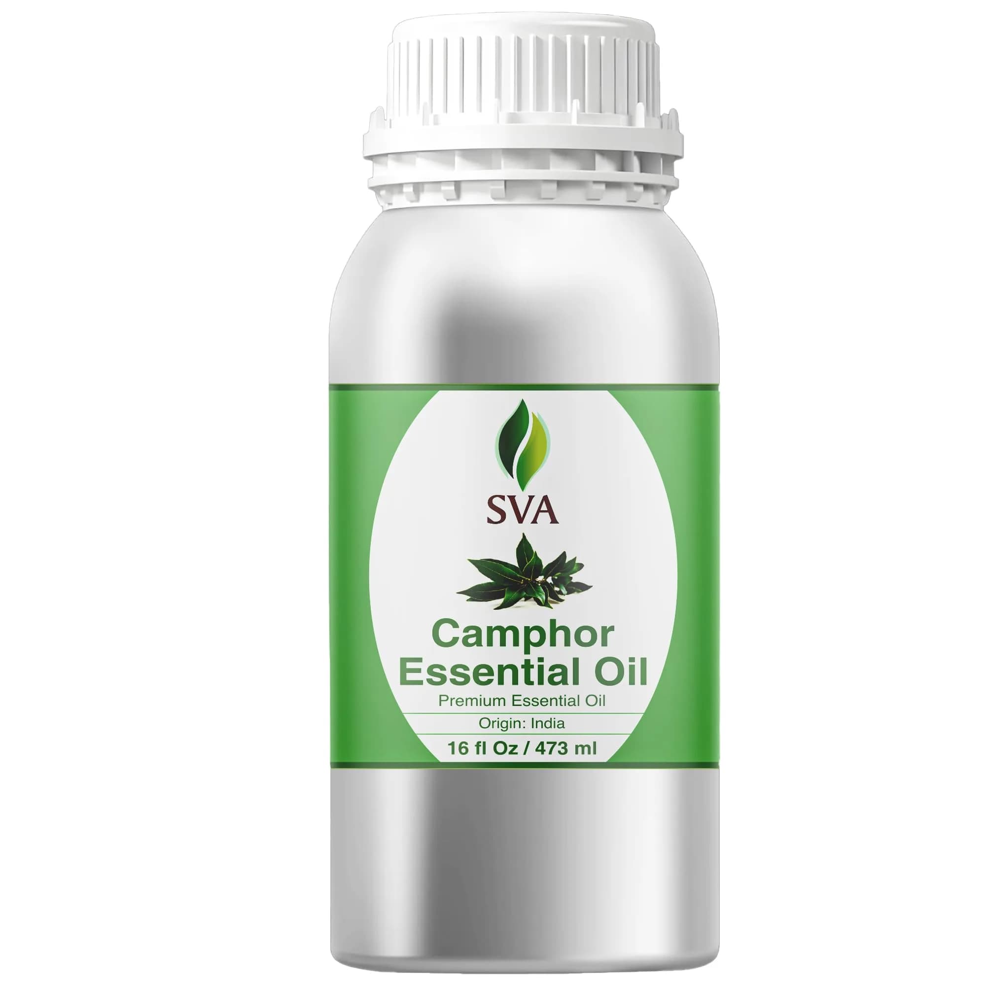 SVA ORGANICS Camphor Essential Oil, 16 Fl Oz (473 ml) - Pure & Natural - main product image