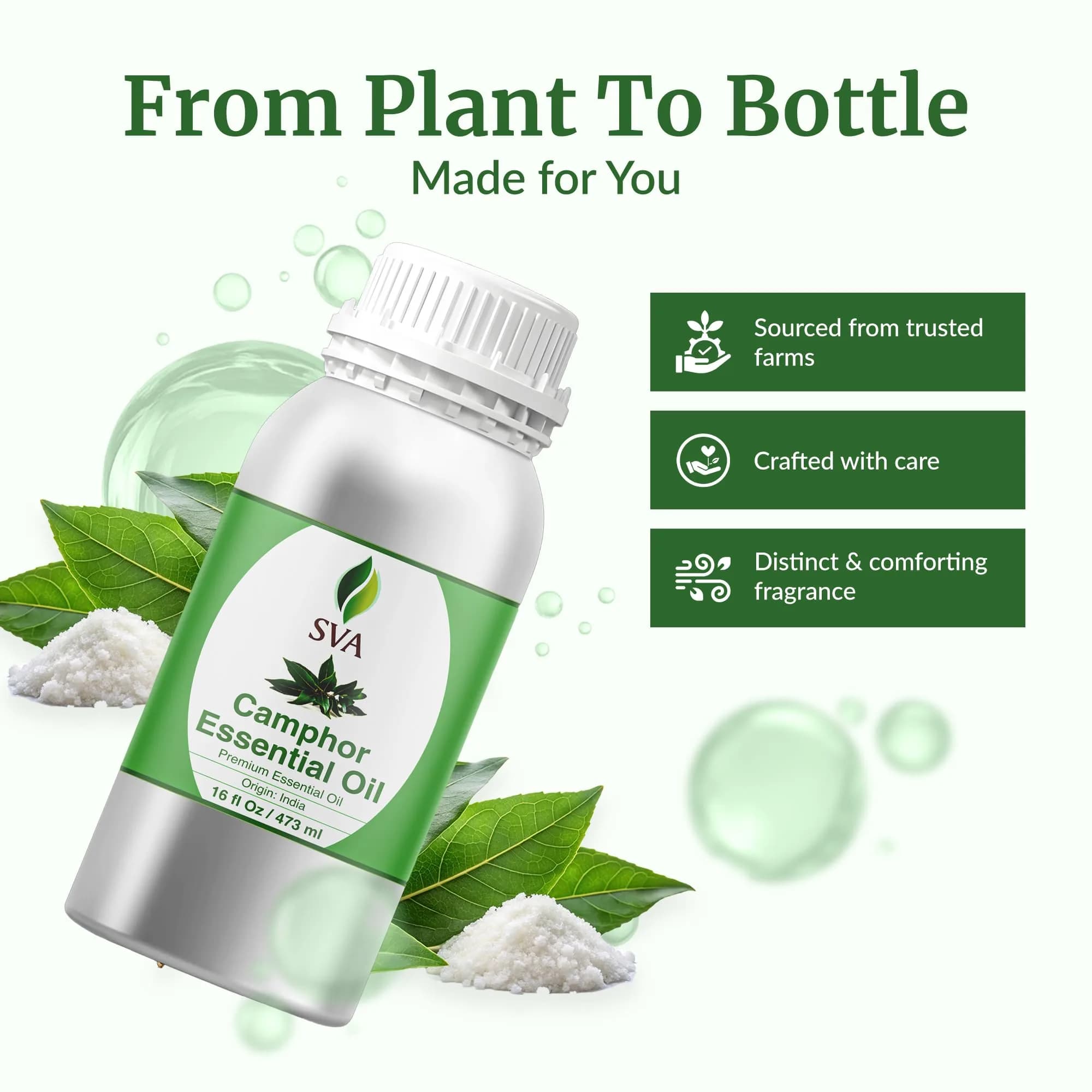 SVA ORGANICS Camphor Essential Oil, 16 Fl Oz (473 ml) - Pure & Natural - view 4
