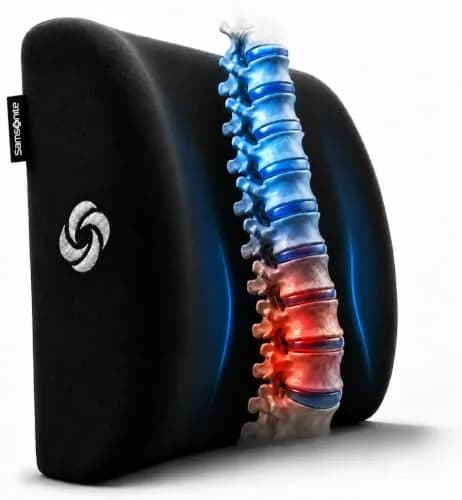 Samsonite Lumbar Support Pillow for Office Chair and Car Seat, Perfectly Balanced Memory Foam, Versatile Use Lower Back Cushion, Black Plush thumbnail 1