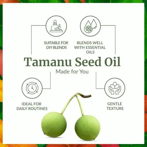 SVA Organics Tamanu Carrier Oil - 16 Fl Oz (473 ml) - Pure & Natural thumbnail 3