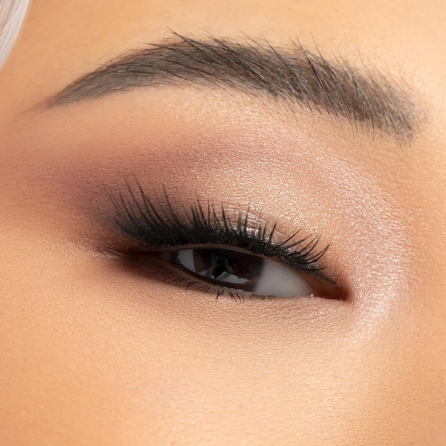 Physicians Formula Murumuru Butter Eyeshadow Palette Sultry Nights 12 Shades | Ultra-Creamy Blendable Formula - view 4