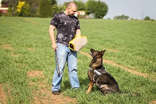 YES4QUALITY Dog Bite Sleeve for Large Dogs | Heavy Duty Canine Training Gear (20x12") thumbnail 9