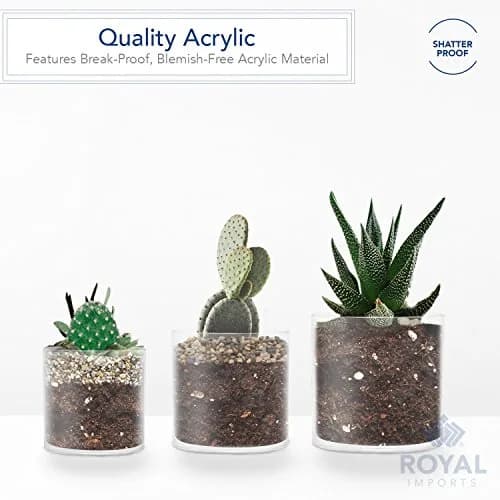 Royal Imports Plastic Cylinder Flower Vase Set of 3 | Non-Breakable Acrylic, 4-6 Inches thumbnail 2