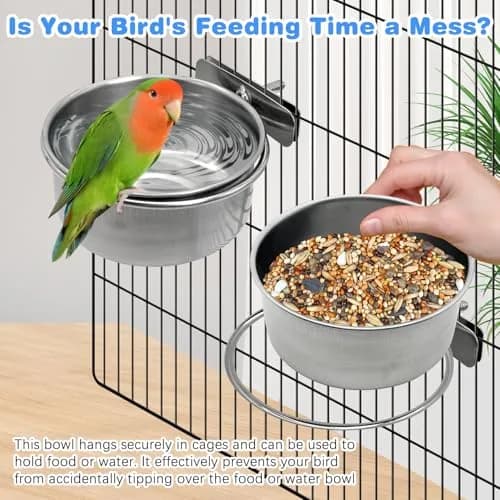 Tfwadmx Bird Feeding Dish Cups Parrot Food Bowl Clamp Holder Coop Cup 2PCS | Stainless Steel Water & Food Bowls for Cage thumbnail 4