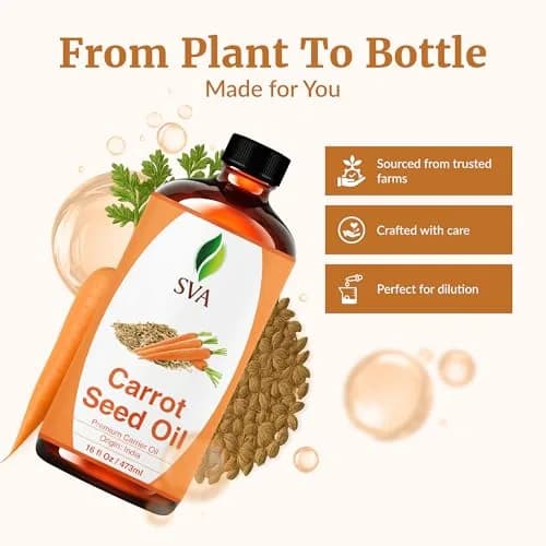 SVA ORGANICS Carrot Seed Carrier Oil - 16 Fl Oz (473 ml) - Pure & Natural thumbnail 4