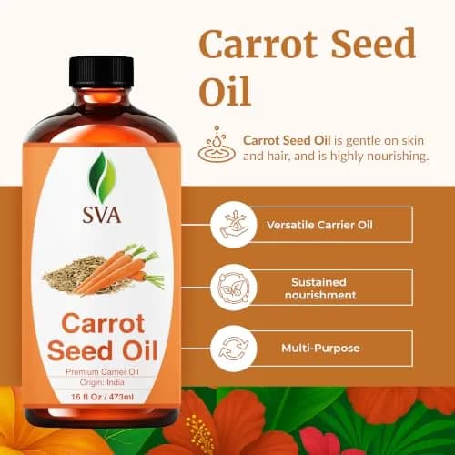 SVA ORGANICS Carrot Seed Carrier Oil - 16 Fl Oz (473 ml) - Pure & Natural thumbnail 2