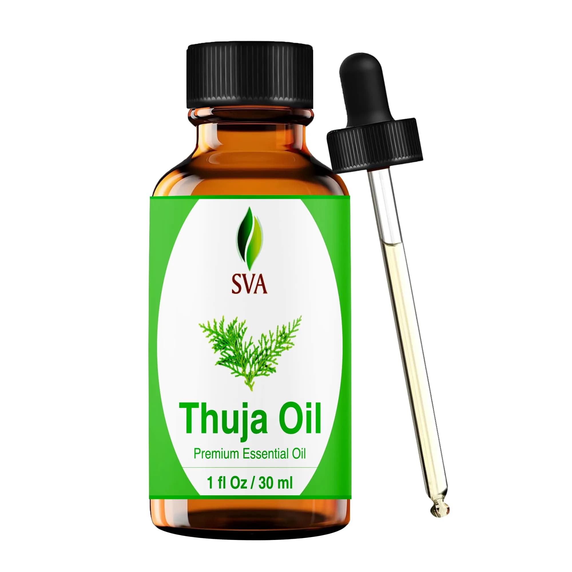 SVA ORGANICS Thuja Essential Oil, 1 Fl Oz (30 ml) - Pure & Natural Steam Distilled - main product image