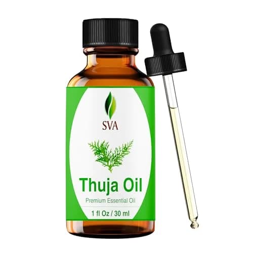SVA ORGANICS Thuja Essential Oil, 1 Fl Oz (30 ml) - Pure & Natural Steam Distilled thumbnail 1