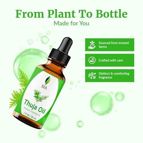 SVA ORGANICS Thuja Essential Oil, 1 Fl Oz (30 ml) - Pure & Natural Steam Distilled thumbnail 4