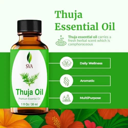 SVA ORGANICS Thuja Essential Oil, 1 Fl Oz (30 ml) - Pure & Natural Steam Distilled thumbnail 2