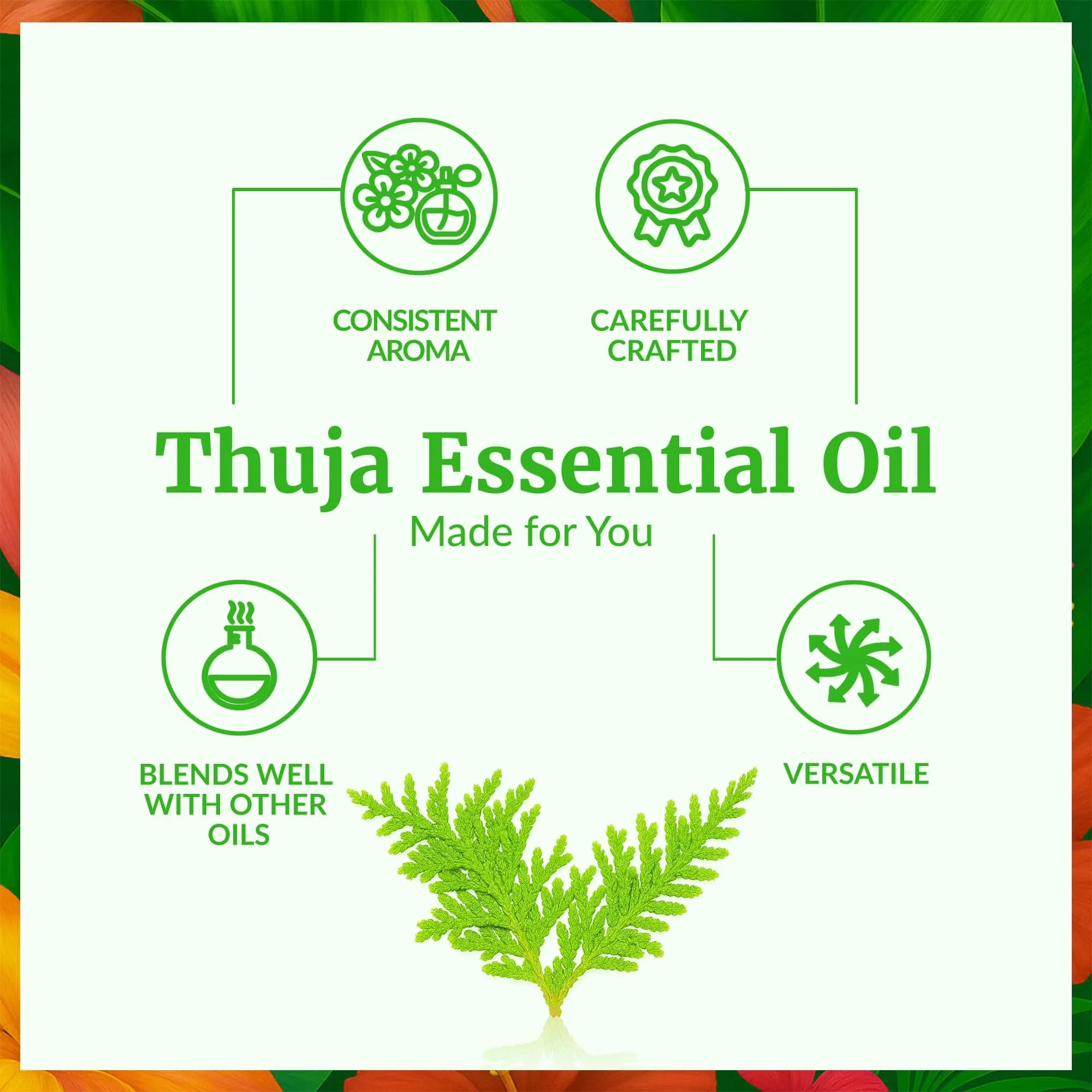 SVA ORGANICS Thuja Essential Oil, 1 Fl Oz (30 ml) - Pure & Natural Steam Distilled - view 3