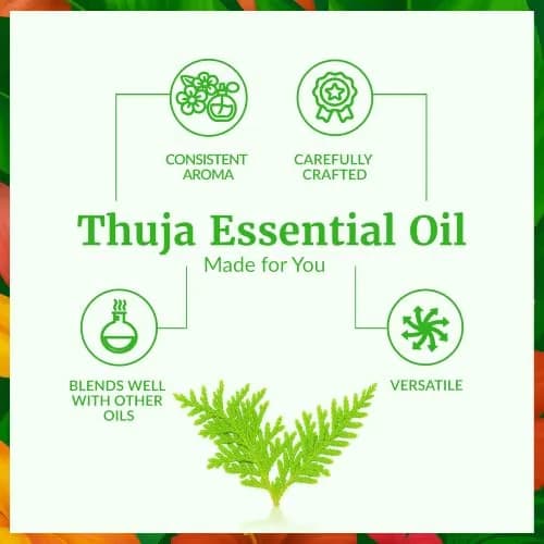 SVA ORGANICS Thuja Essential Oil, 1 Fl Oz (30 ml) - Pure & Natural Steam Distilled thumbnail 3