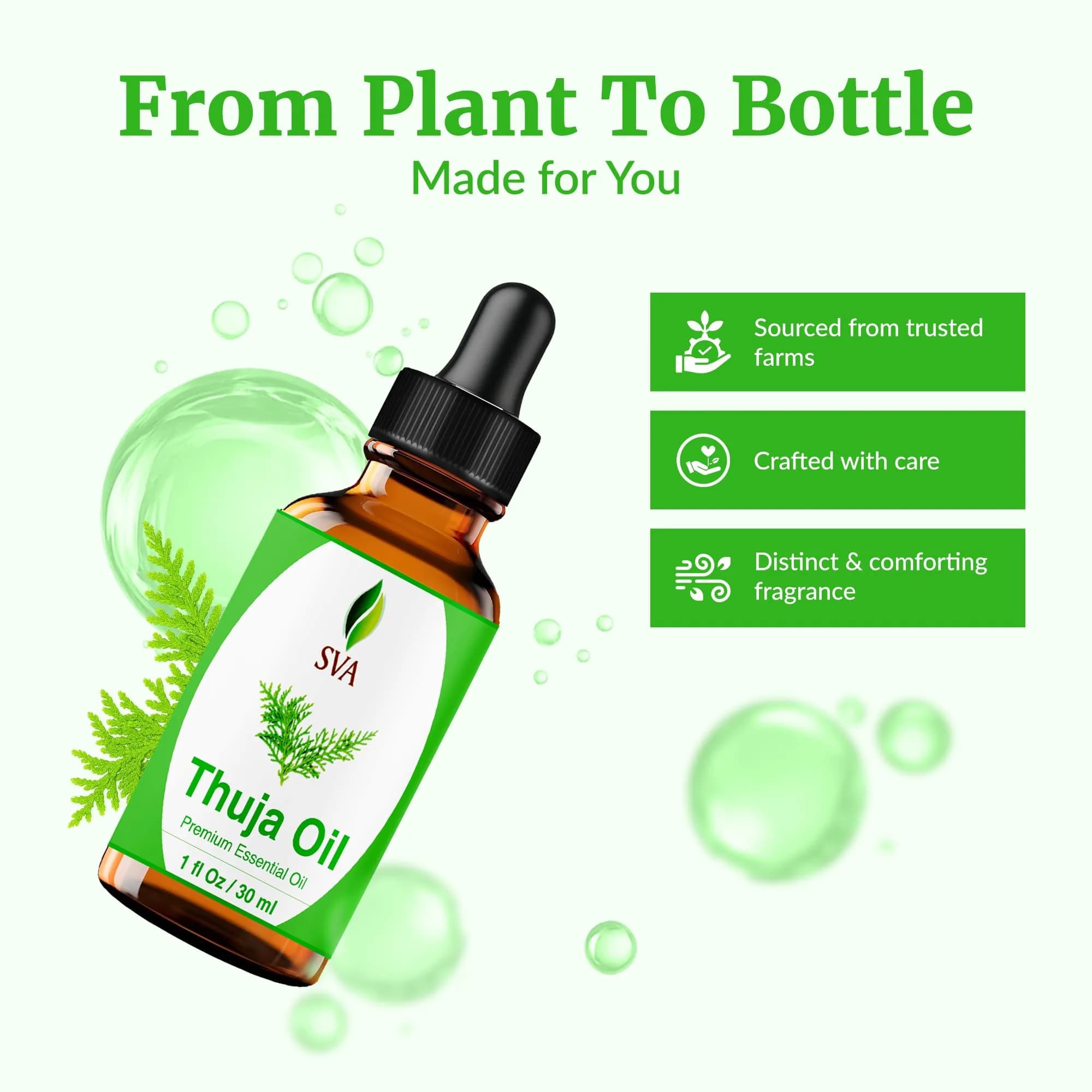 SVA ORGANICS Thuja Essential Oil, 1 Fl Oz (30 ml) - Pure & Natural Steam Distilled - view 4