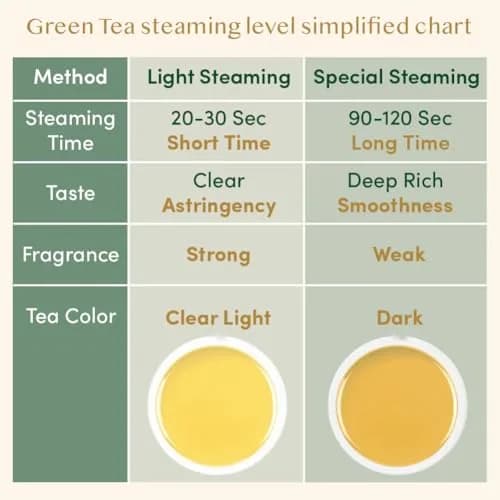 VAHDAM Organic Himalayan Green Tea 100 Count Pyramid Tea Bags | USDA Organic & Plant-Based thumbnail 6