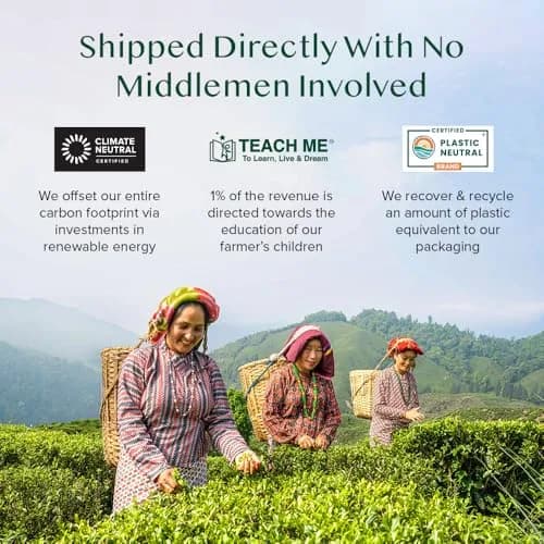 VAHDAM Organic Himalayan Green Tea 100 Count Pyramid Tea Bags | USDA Organic & Plant-Based thumbnail 7
