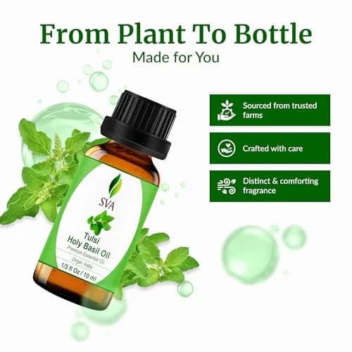 SVA ORGANICS Holy Tulsi Essential Oil 10 ml (0.33 Fl Oz) | Pure, Herbal Aroma for Diffusers & Skin thumbnail 4