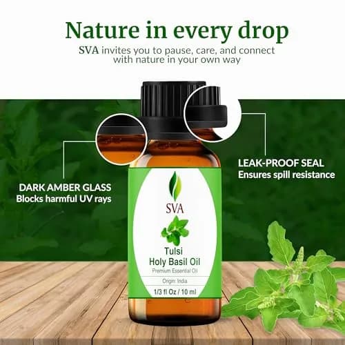 SVA ORGANICS Holy Tulsi Essential Oil 10 ml (0.33 Fl Oz) | Pure, Herbal Aroma for Diffusers & Skin thumbnail 7