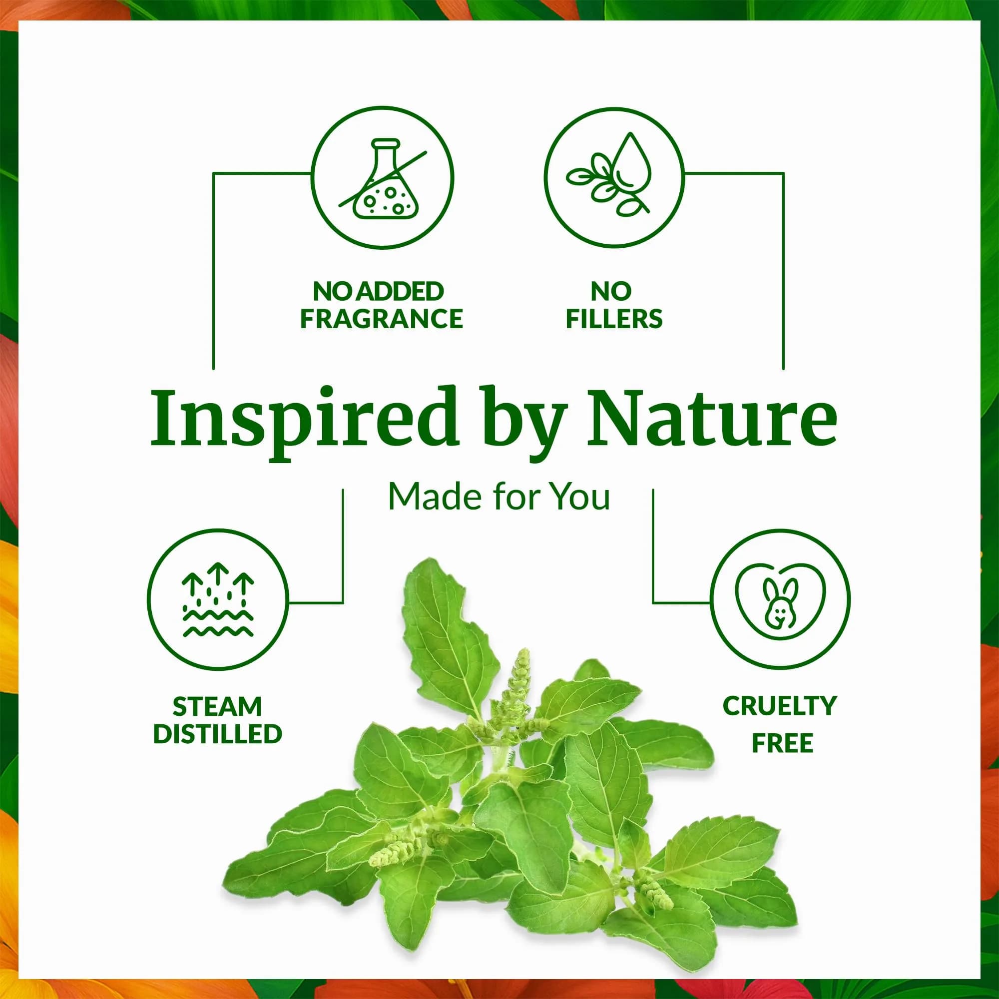 SVA ORGANICS Holy Tulsi Essential Oil 10 ml (0.33 Fl Oz) | Pure, Herbal Aroma for Diffusers & Skin - view 3