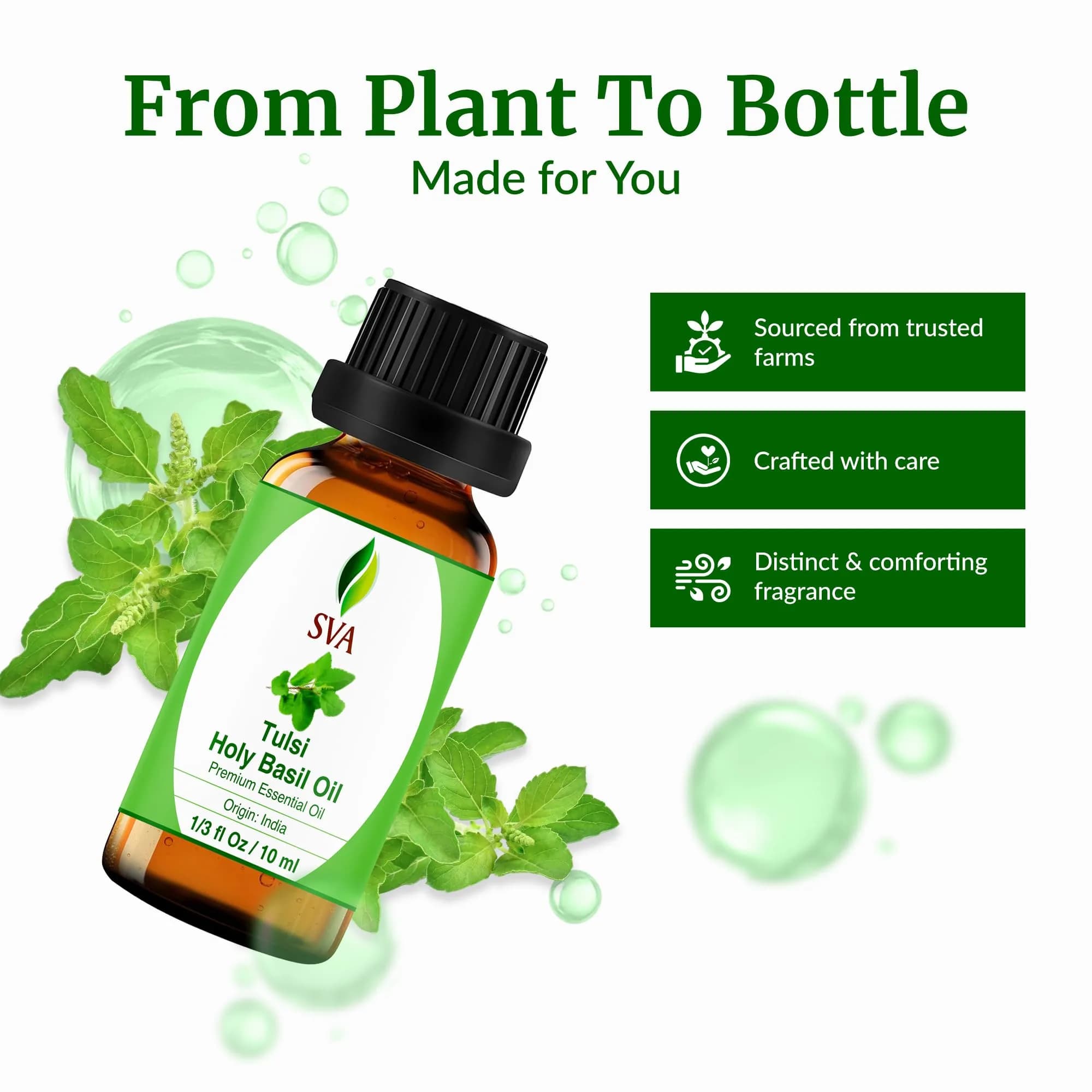 SVA ORGANICS Holy Tulsi Essential Oil 10 ml (0.33 Fl Oz) | Pure, Herbal Aroma for Diffusers & Skin - view 4