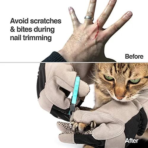 PetFusion Multipurpose Pet Glove for Grooming, Grey | Water-Resistant, Scratch & Puncture Protection thumbnail 3