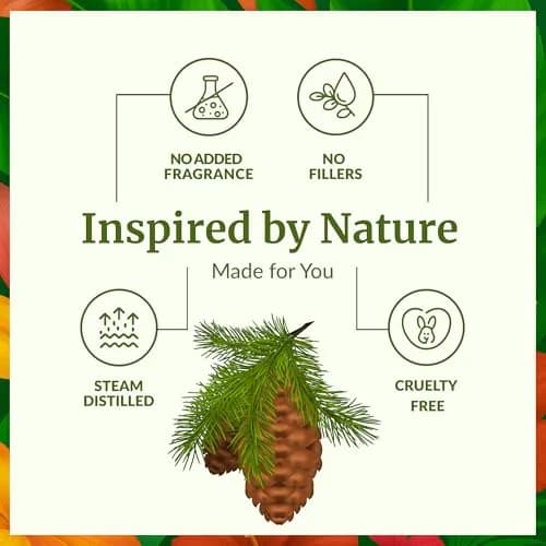 SVA Organics Fir Balsam Essential Oil - 1 Fl Oz (Pack of 1) - Pure & Natural Aroma thumbnail 3