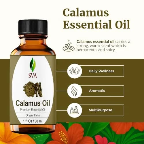SVA ORGANICS Calamus Essential Oil 1 Fl Oz (30 ml) | Pure & Natural Aroma Oil thumbnail 2