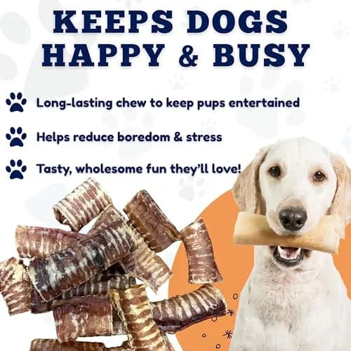 Amazing Dog Treats - 3-4 Inch Beef Trachea Rings (25 pcs) | Long-lasting, All-Natural Dog Chews for Small & Large Breeds thumbnail 6