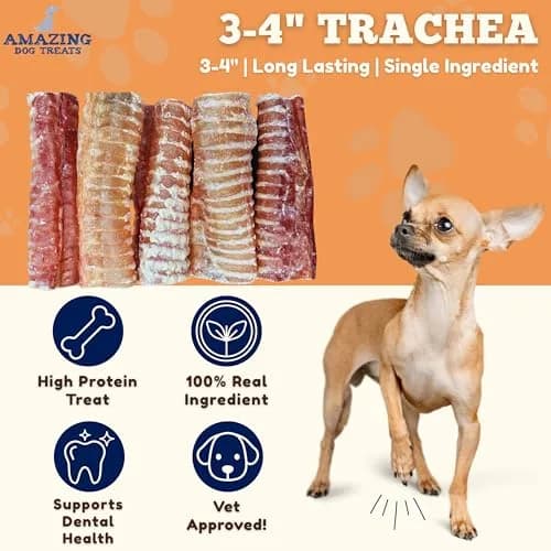 Amazing Dog Treats - 3-4 Inch Beef Trachea Rings (25 pcs) | Long-lasting, All-Natural Dog Chews for Small & Large Breeds thumbnail 2