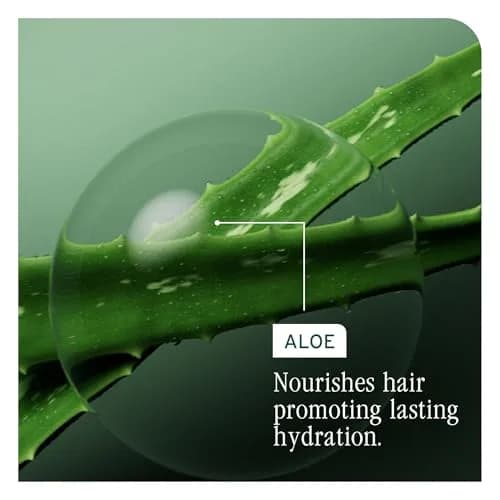 Biolage Hydra Source Deep Treatment Mask – For Dry Hair, 3.3 fl oz | Intense Hydration & Nourishment thumbnail 6
