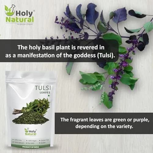 Holy Natural Basil Leaves Dried 200Gm | Organic Sweet Basil for Cooking & Tea thumbnail 3