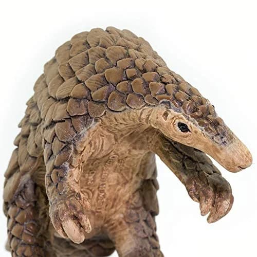 Safari Ltd. Pangolin Toy - 7 Inch Realistic Wildlife Figure for Kids | Safety Tested BPA Free PVC thumbnail 2
