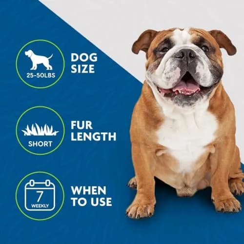 FURminator Medium Dog Undercoat deShedding Tool for Short Hair | Reduces Shedding by Up to 90% thumbnail 5